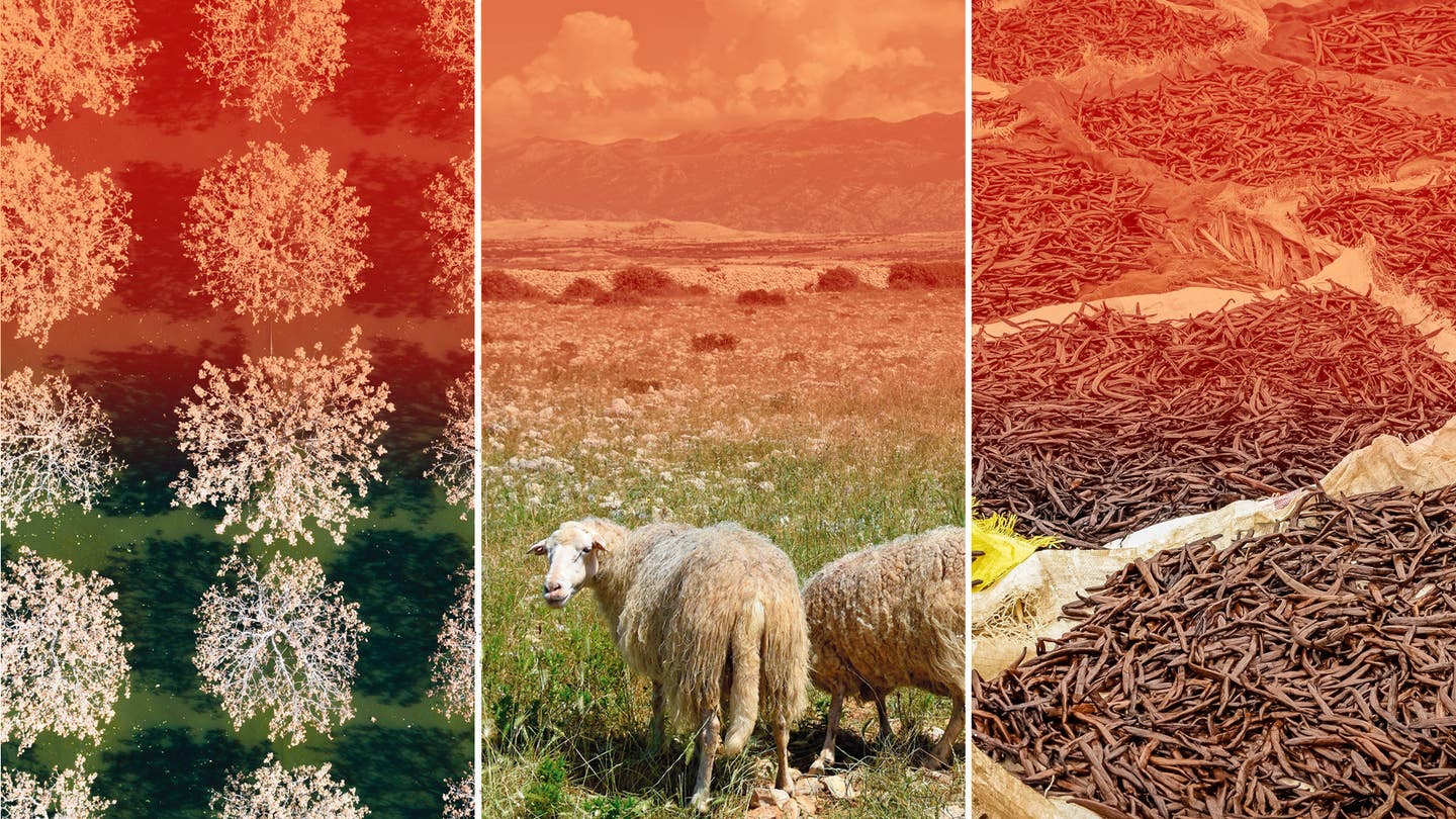 Climate change ingredients hero