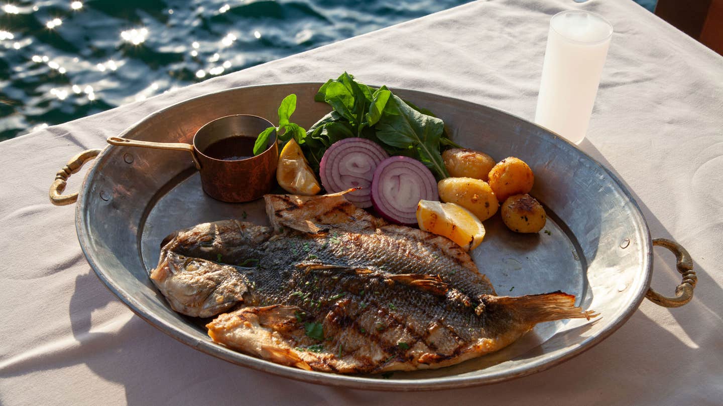 Lakerda and Raki and Grilled Sea Bream